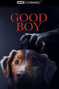 Good Boy - Posters