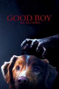 Good Boy - Posters