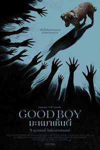 Good Boy - Posters