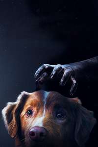 Good Boy - Posters