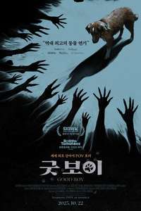 Good Boy - Posters