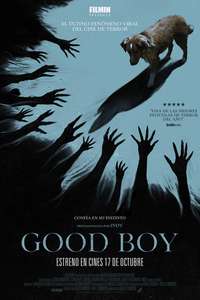 Good Boy - Posters