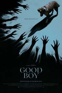 Good Boy - Posters