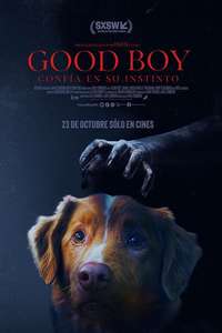 Good Boy - Posters