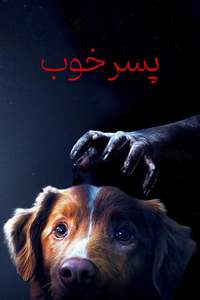 Good Boy - Posters