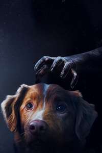 Good Boy - Posters