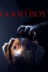 Good Boy - Posters