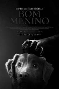 Good Boy - Posters