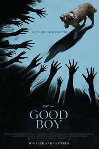 Good Boy - Posters