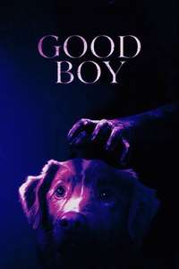 Good Boy - Posters