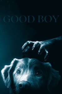 Good Boy - Posters