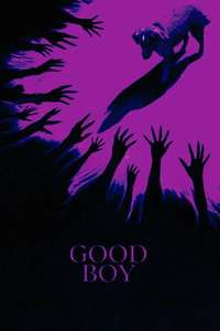 Good Boy - Posters