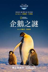 Secrets of the Penguins - Posters
