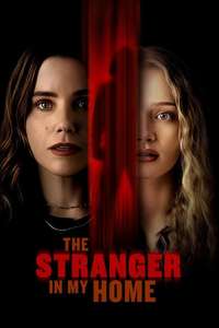 The Stranger in My Home - Posters