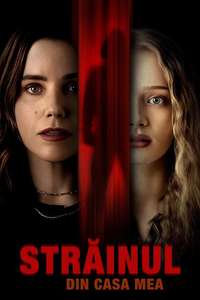 The Stranger in My Home - Posters
