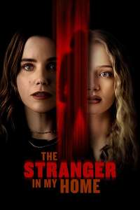 The Stranger in My Home - Posters