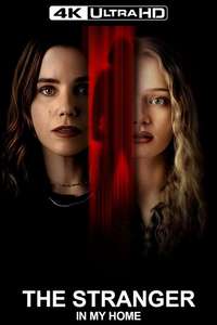 The Stranger in My Home - Posters