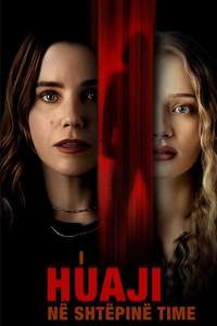 The Stranger in My Home - Posters