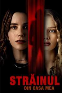 The Stranger in My Home - Posters