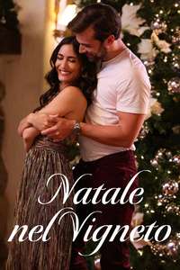 Holiday in the Vineyards - Posters