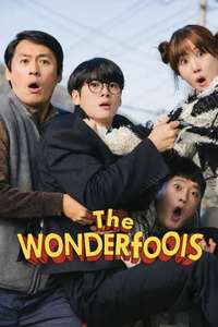 The WONDERfools - Posters