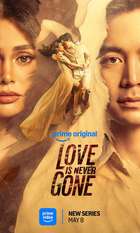 Love Is Never Gone