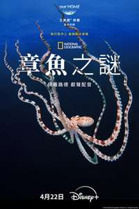 Secrets of the Octopus - Posters