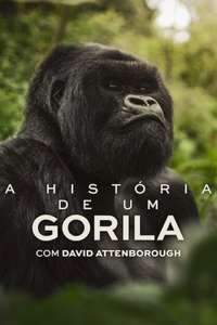 A Gorilla Story: Told by David Attenborough - Posters