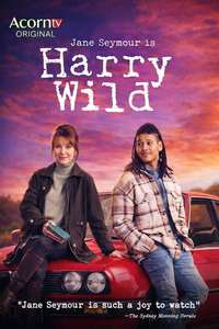 Harry Wild - Posters