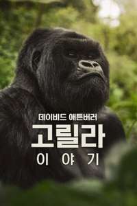 A Gorilla Story: Told by David Attenborough - Posters