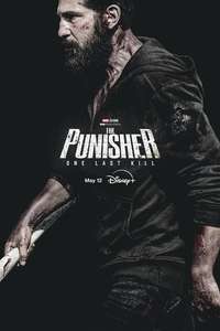 The Punisher: One Last Kill - Posters