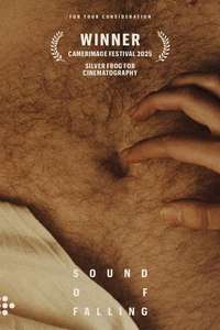 Sound of Falling - Posters