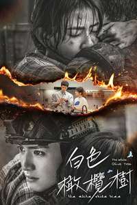 The White Olive Tree - Posters