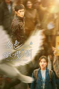 The White Olive Tree - Posters