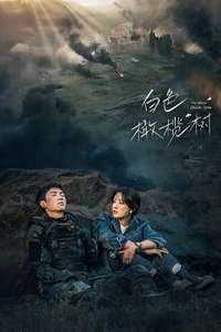 The White Olive Tree - Posters