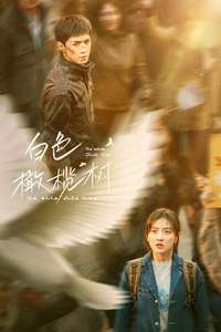 The White Olive Tree - Posters