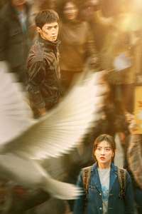 The White Olive Tree - Posters