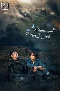 The White Olive Tree - Posters