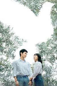 The White Olive Tree - Posters