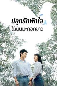 The White Olive Tree - Posters