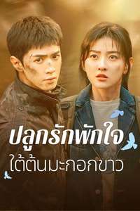 The White Olive Tree - Posters