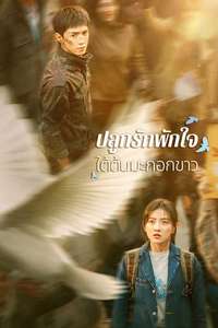 The White Olive Tree - Posters