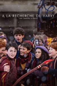 Finding Harry: The Craft Behind the Magic - Posters