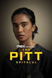 The Pitt - Posters