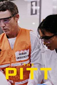 The Pitt - Posters