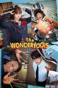 The WONDERfools - Posters