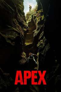 APEX - Posters
