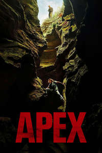 APEX - Posters
