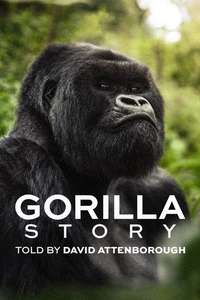 A Gorilla Story: Told by David Attenborough - Posters