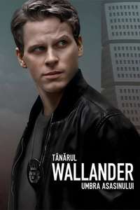 Young Wallander - Posters